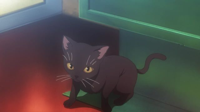Episode 11