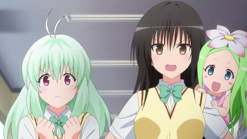 Episode 11