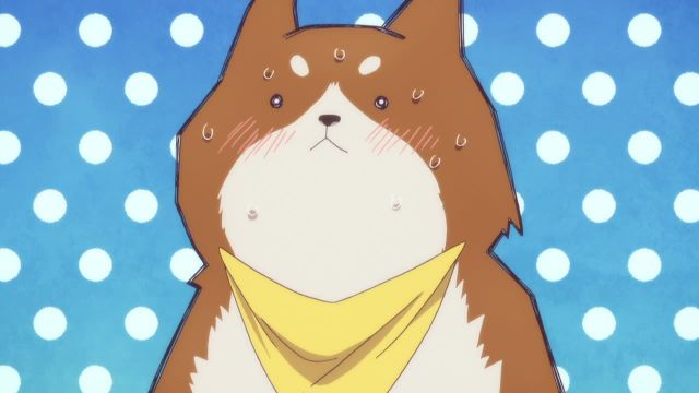 Episode 11