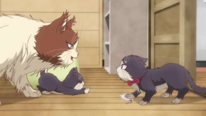 Episode 6