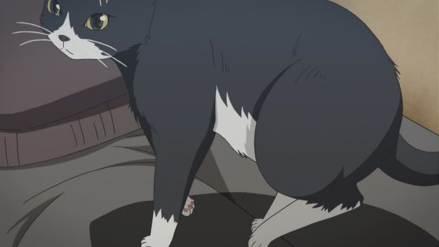 Episode 13