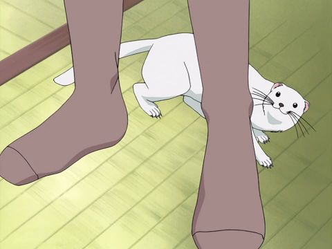 Episode 8