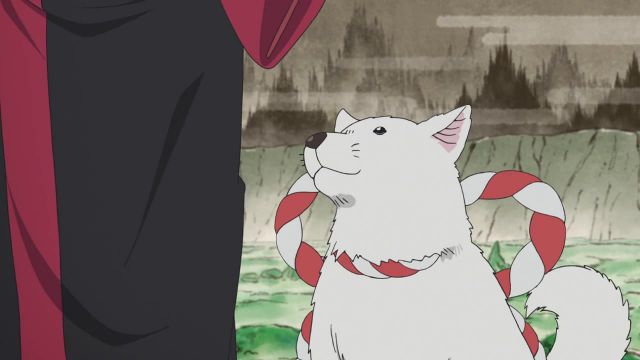Episode 24