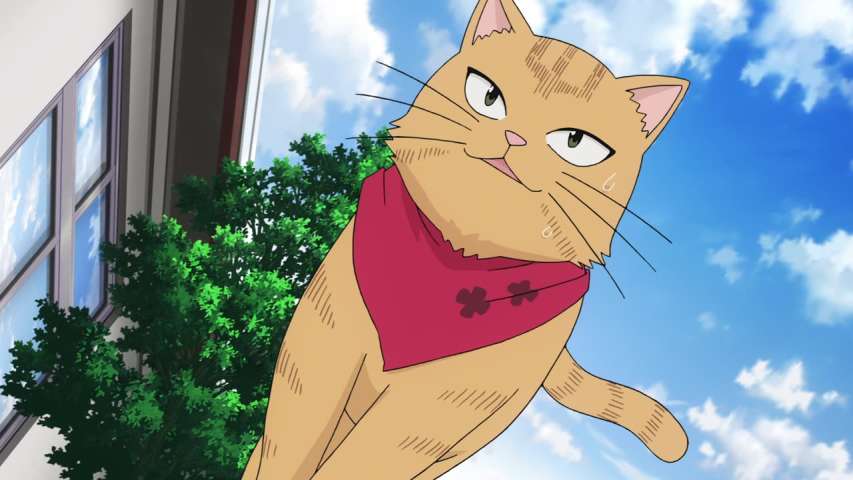 Episode 46